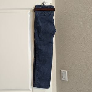 Banana Republic Hampton Pants